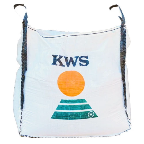 Pszenica ozima KWS Espinum C1 BB500kg Kinto Plus