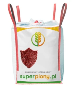 Pszenica ozima Pontiform C1 Big Bag 500kg Kinto Plus