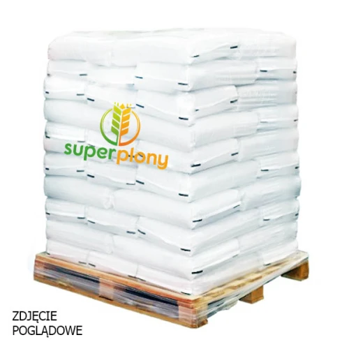 Jęczmień ozimy KWS Kosmos C1 25kg 1tona Seedron + Primseed