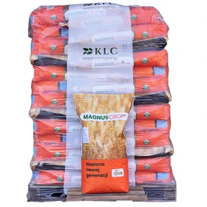 Pszenica ozima Symetria C1 25kg Kinto Primseed 1tona