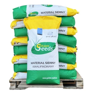 Pszenżyto ozime Rotondo C1 25kg 1tona Tritter Primseed MultiPro