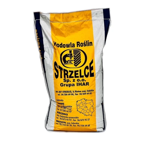 Pszenica ozima Wilejka C1