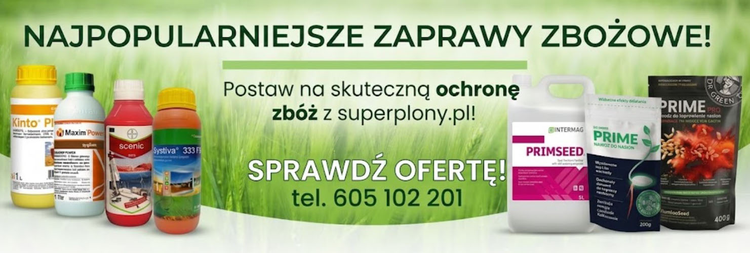 Zaprawy zbożowe