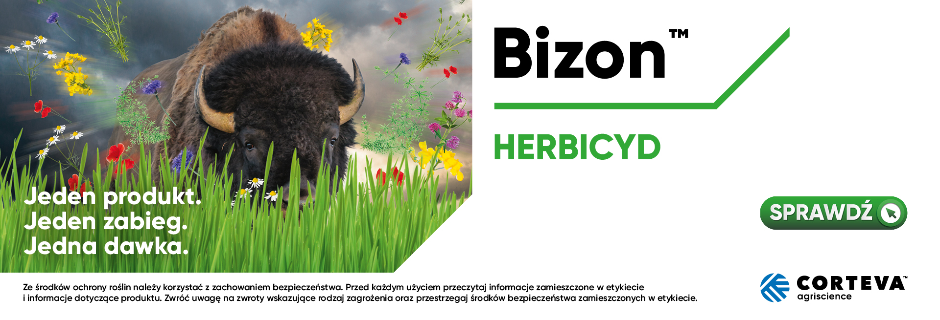 Bizon