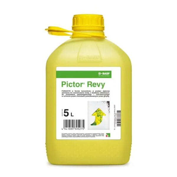 Pictor Revy 5L