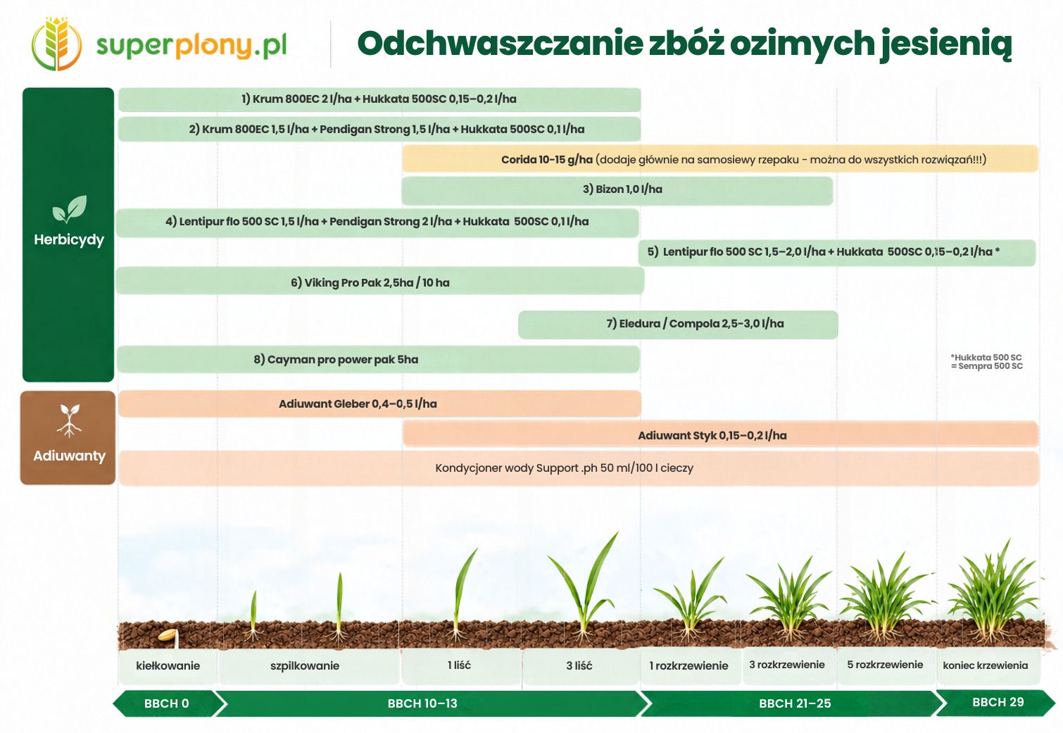 Schemat jesiennego odchwaszczania zbóż ozimych z podziałem na fazy wzrostu BBCH (0–29). Infografika przedstawia dawkowanie i terminy stosowania herbicydów (m.in. Krum, Bizon, Lentipur) oraz adiuwantów